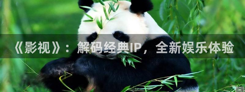 丝瓜影院在线播放