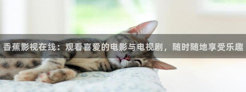 丝瓜图片大全大图