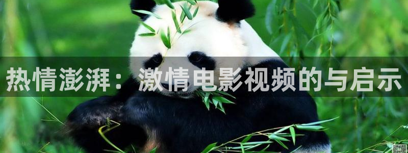 丝瓜视频成人在线观看